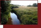 Svitvka pod Bokovem