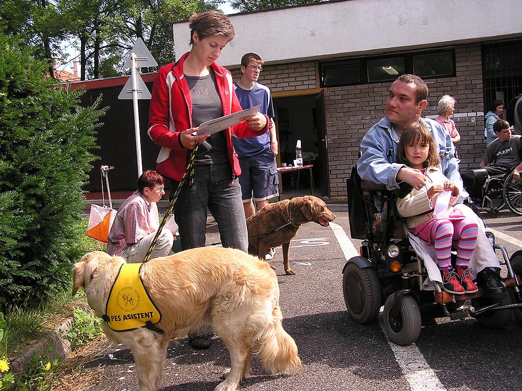 Praha, Hvzda, orientan zvod vozk 2006