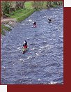 Otava, Rejtejn, 1. kvtna 2005