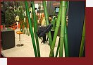 OutDoor 2008