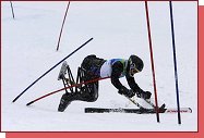 Paraleln sport 