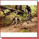 Ruffwear Bark'n Boots Grip Trex 