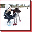 Ruffwear Bark'n Boots Polar Trex 