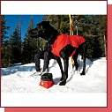 Ruffwear Quinzee 