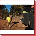 Ruffwear Climate Changer 