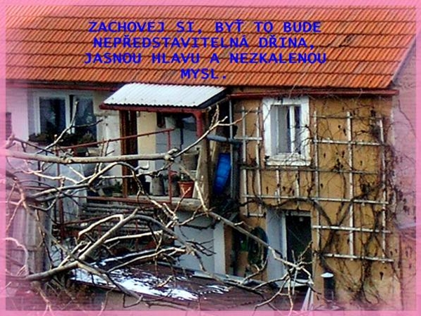 PF 2007