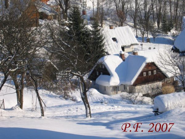 PF 2007