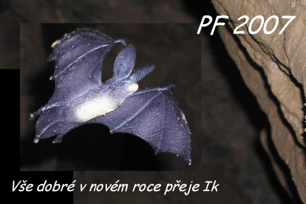PF 2007