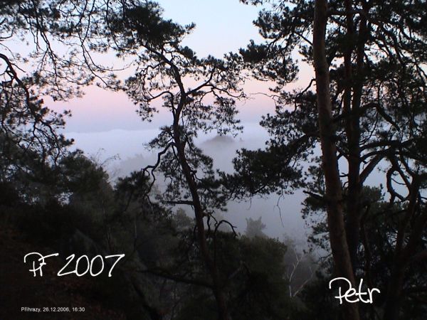 PF 2007