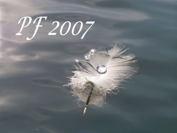 PF 2007
