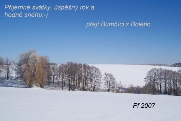 PF 2007