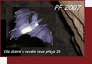 PF 2007