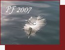 PF 2007