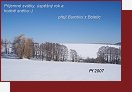 PF 2007