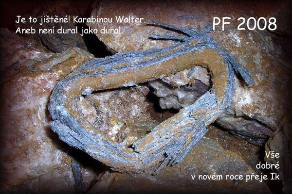 PF 2008