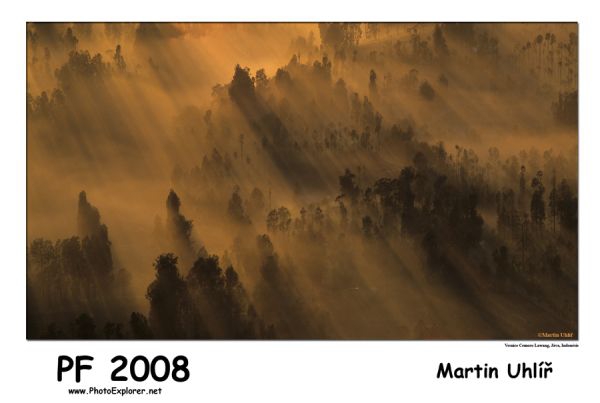 PF 2008