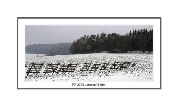 PF 2008