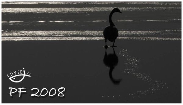 PF 2008