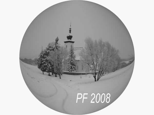 PF 2008