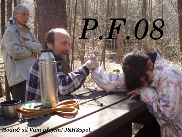 PF 2008