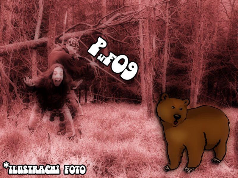 PF 2009