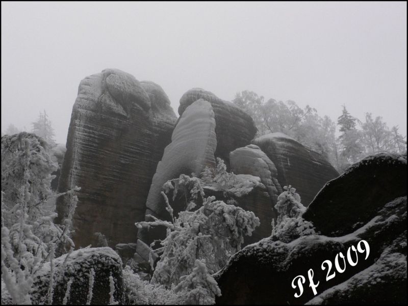 PF 2009