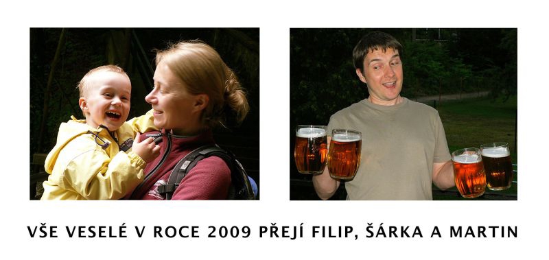 PF 2009