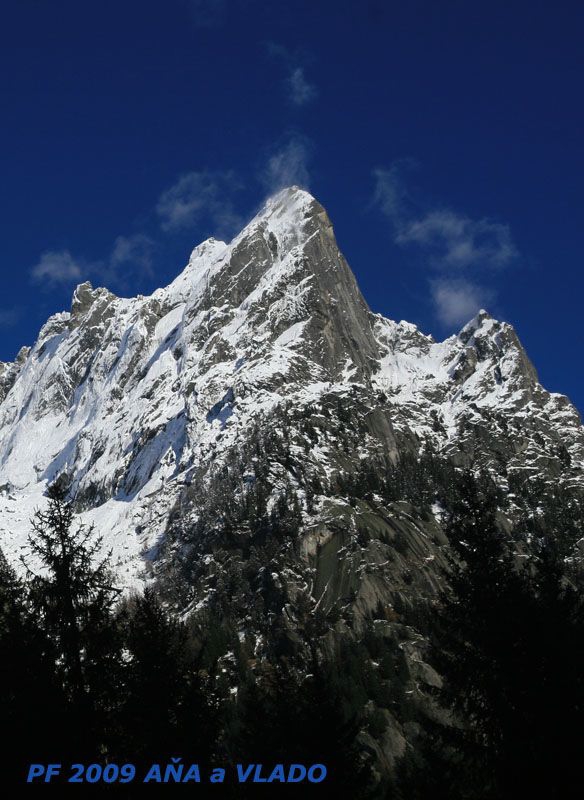 PF 2009