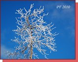 PF 2010 