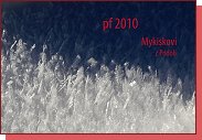 PF 2010 