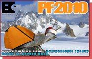 PF 2010 