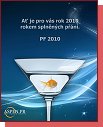 PF 2010 