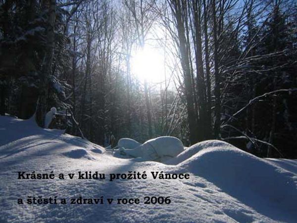 PF 2006