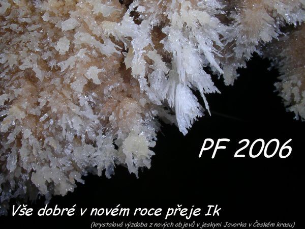 PF 2006