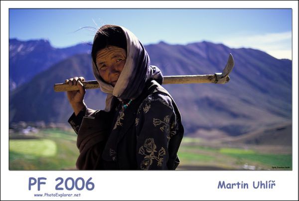 PF 2006