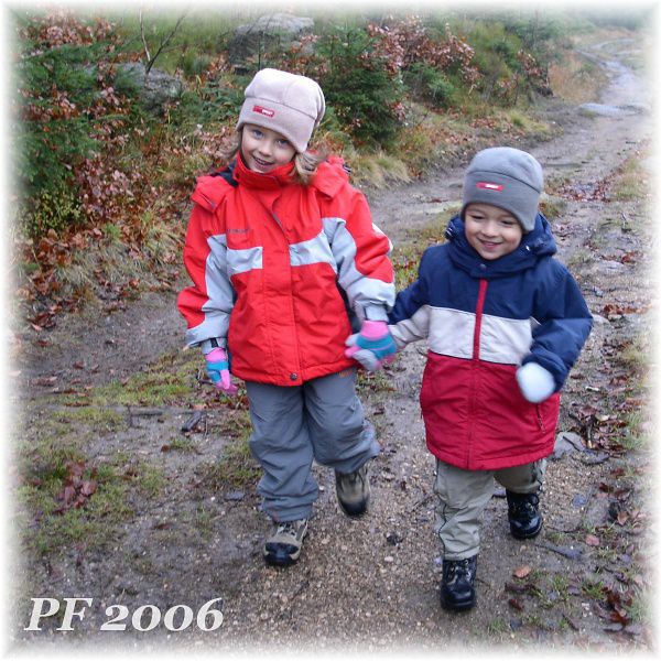 PF 2006