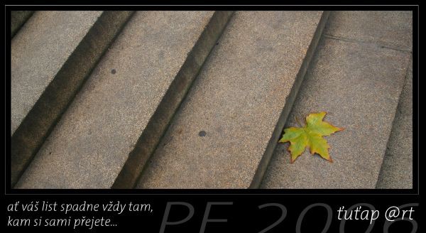 PF 2006