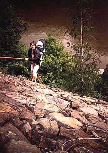Pkovick jehla