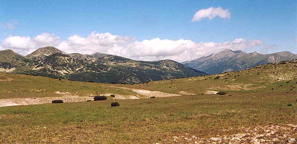 Pirin