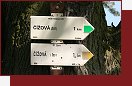 ov