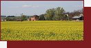 Zlivice