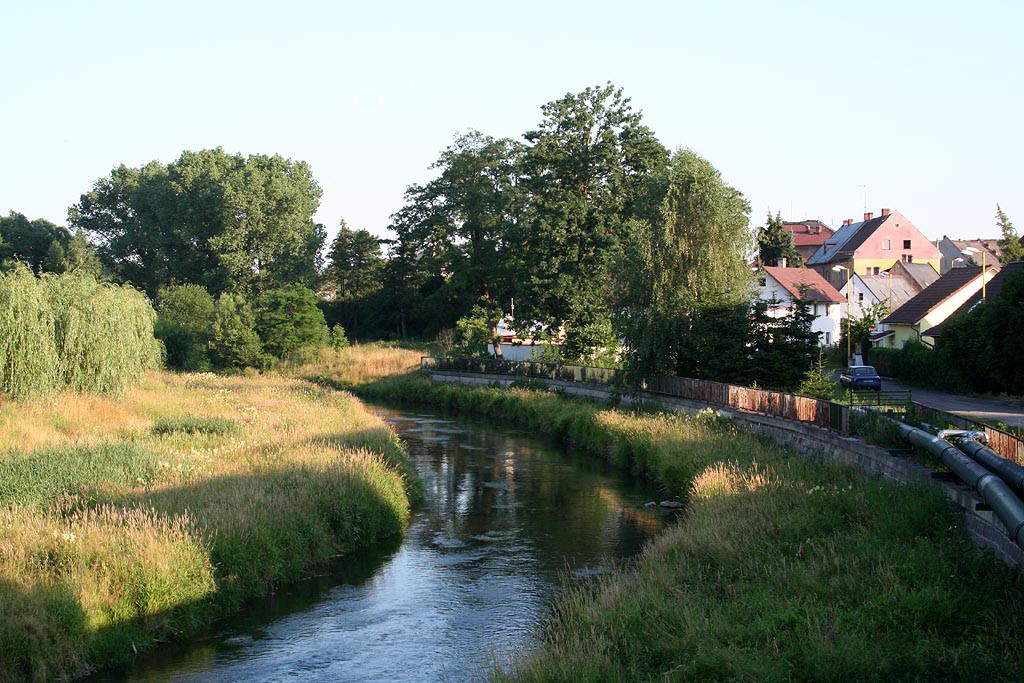 Plounice 2006