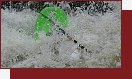 Prague Whitewater Rodeo 2008