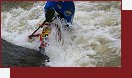 Salto vzad