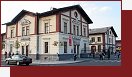 Holeovick trnice