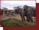 Zoologick zahrada