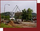 Holeovick pstav