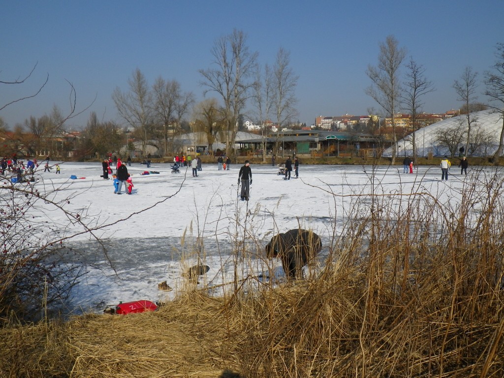 Praha, Hamrk 26.2.2011 - Horydoly.cz 