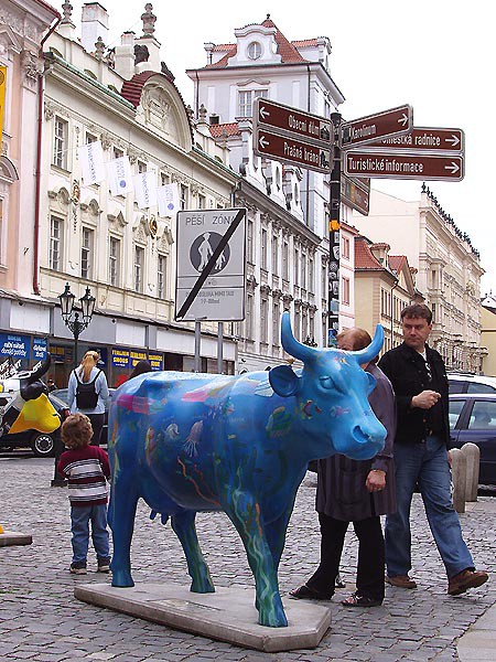 Praha, krvy ve mst 2004