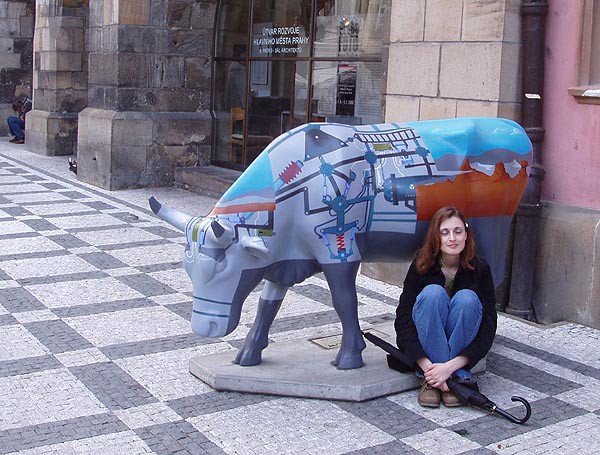 Praha, krvy ve mst 2004